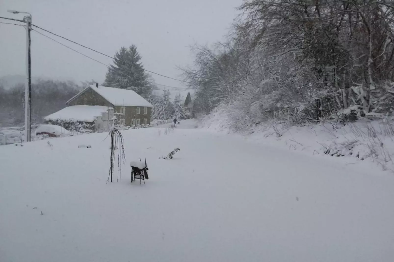 Névada pour cinq-Area winter 20km