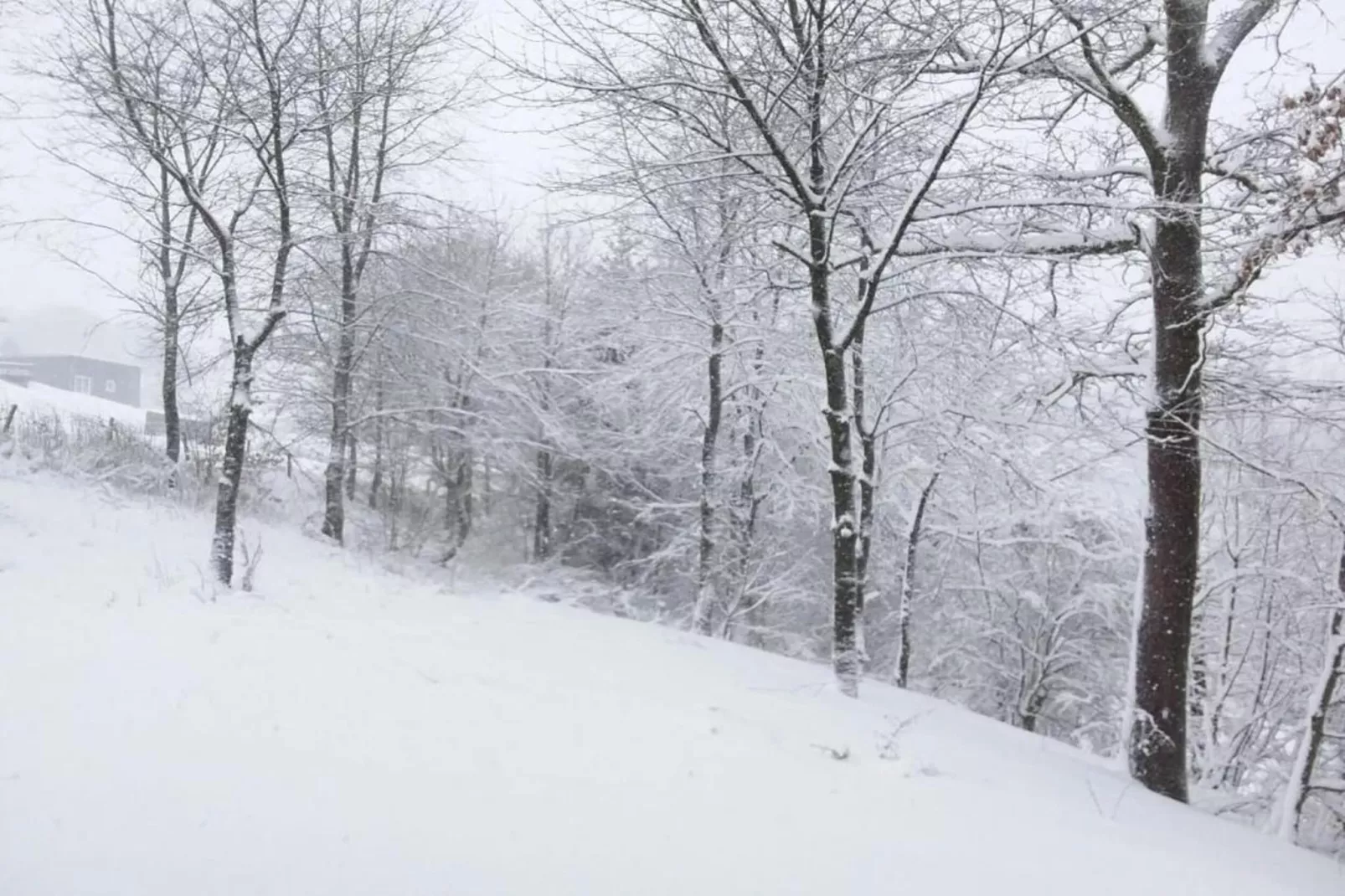 Balcon de Malmedy-Area winter 20km