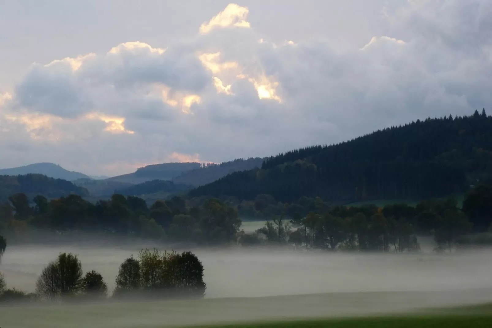 Wilzenberg-Gebiete Sommer 5 km