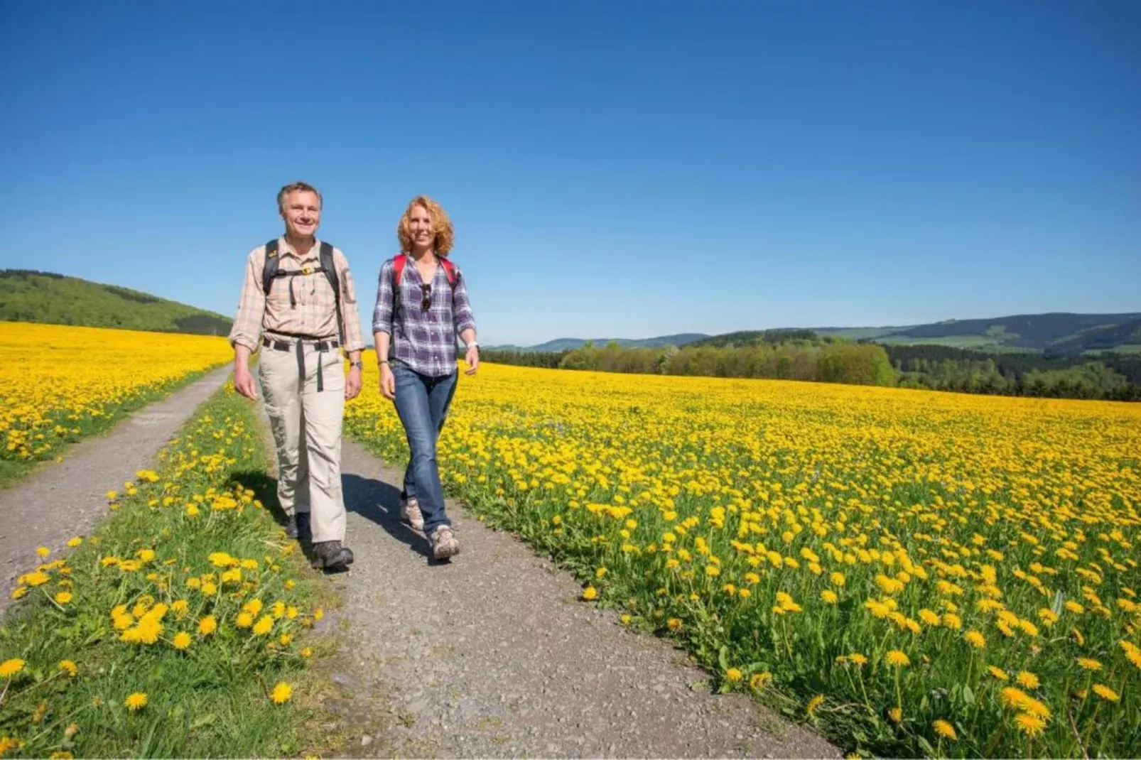 Freiblick-Areas summer 20km