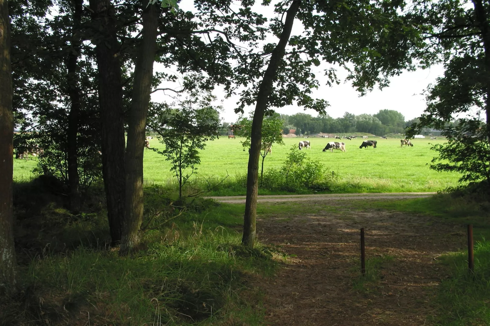 Vakantiepark Herperduin 17-Gebiete Sommer 1 km