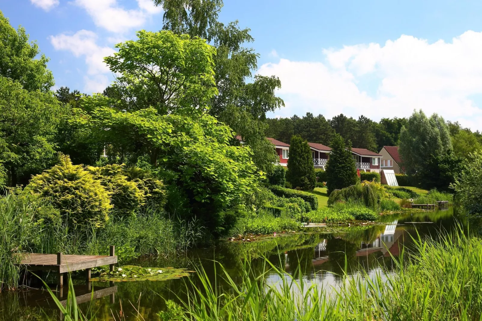Vakantiepark Emslandermeer 1-Areas summer 1km
