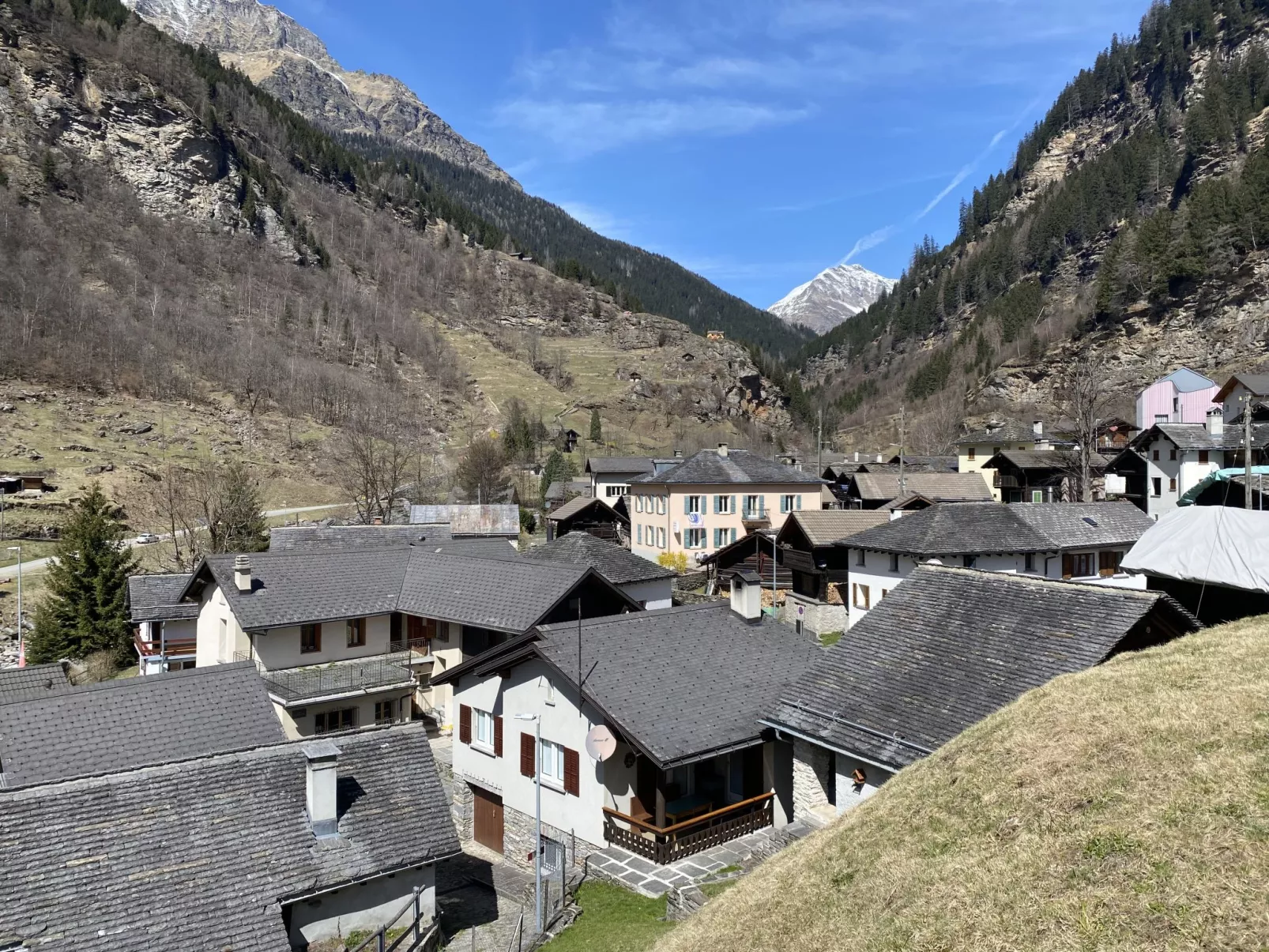 Della Posta Stambecco-Area