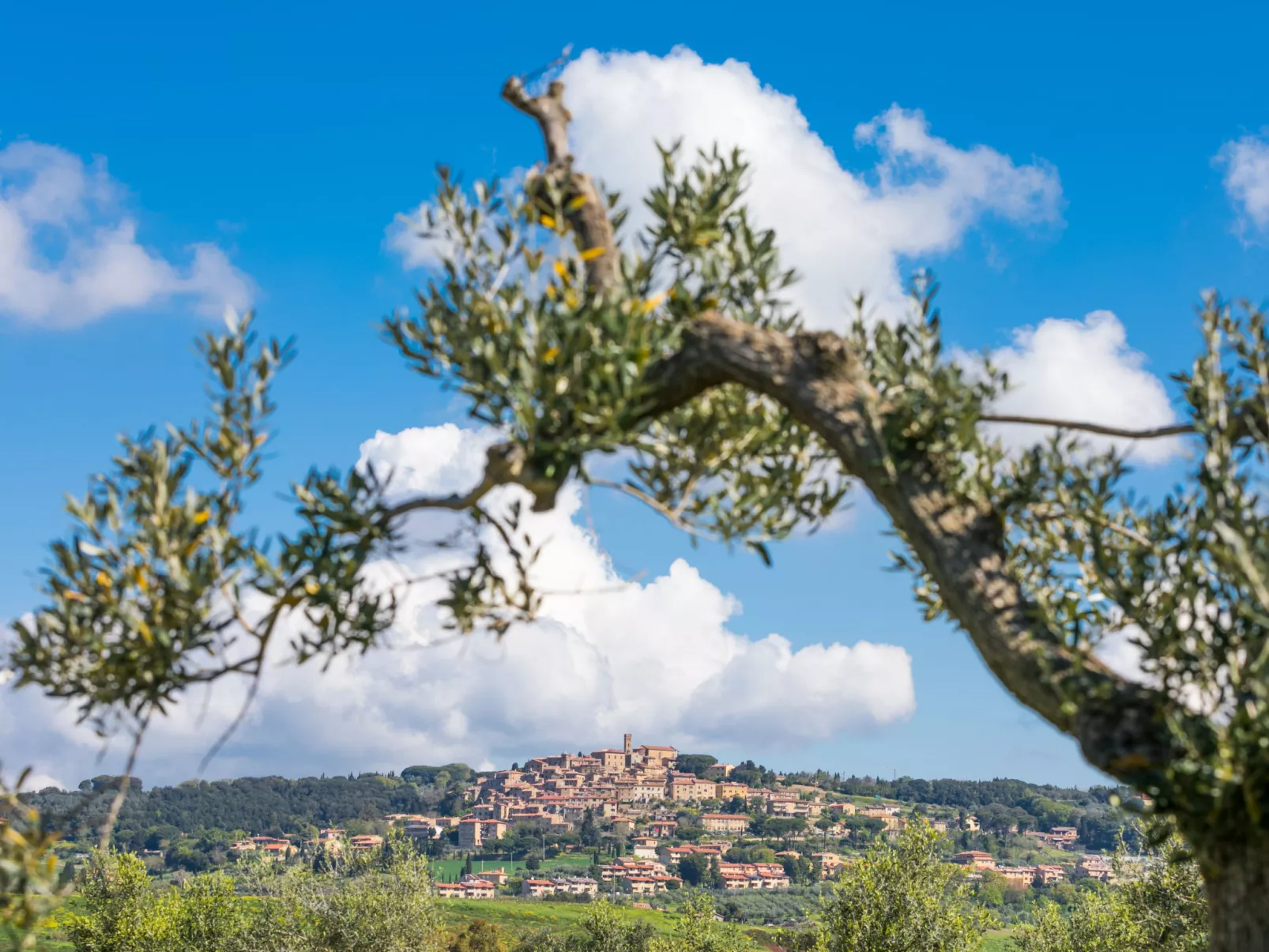 Il Fienile-Outside