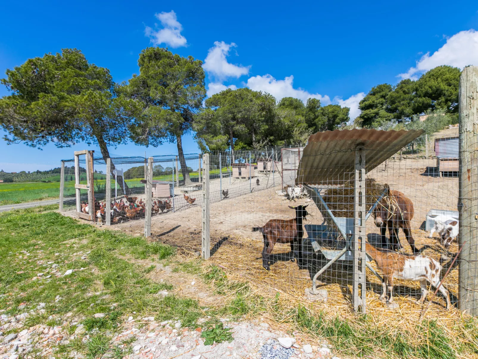 Il Fienile-Outside