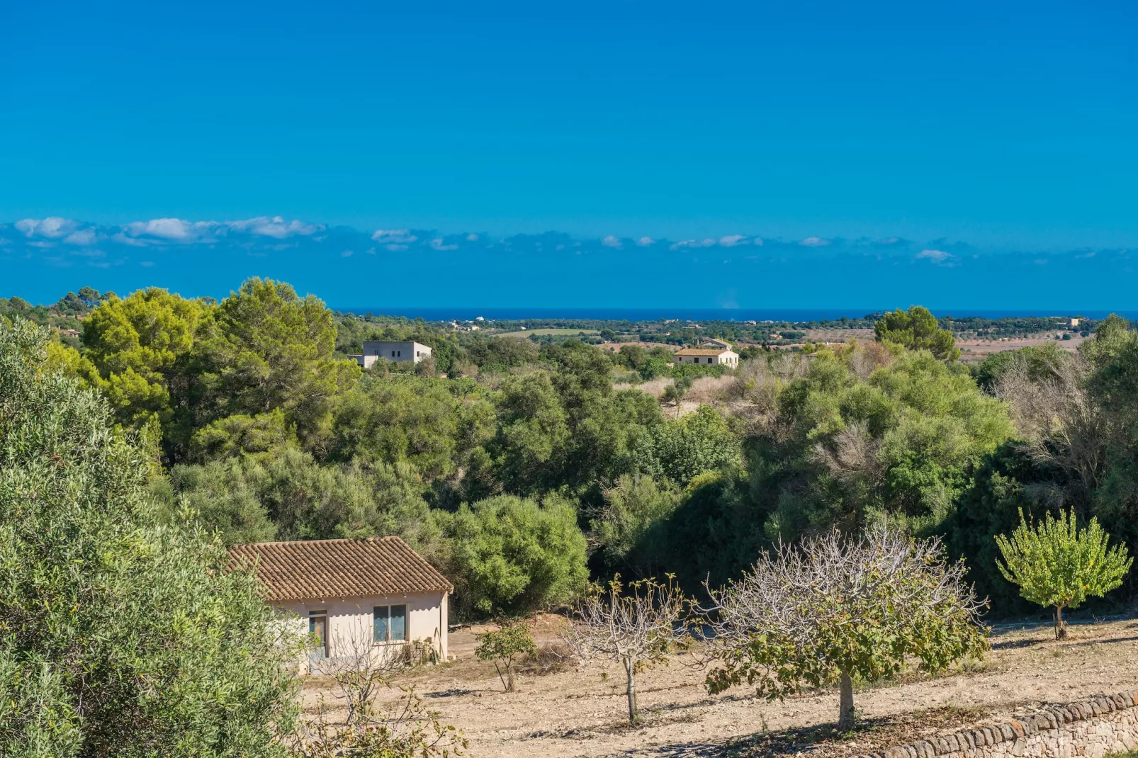 Finca Son Colom-Image-tags.