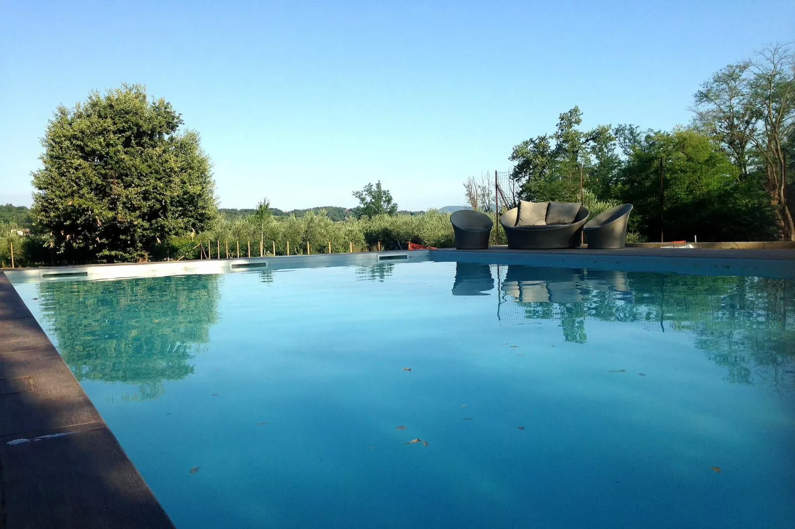 Chardonnay-Pool