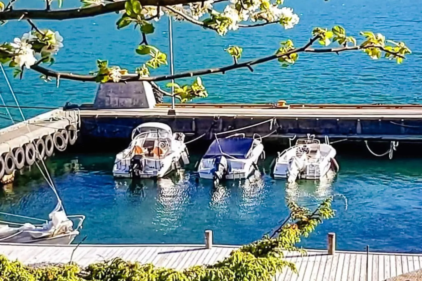 13 person holiday home in Songesand-Not tagged