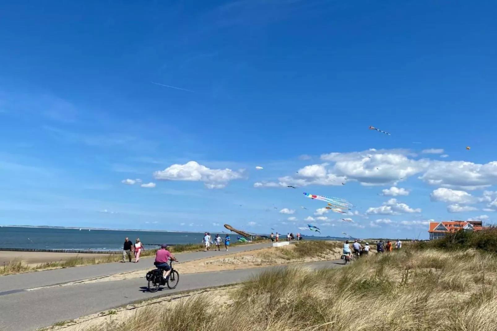 Het Platte Putje - Huisdier - nr 2-Areas summer 20km