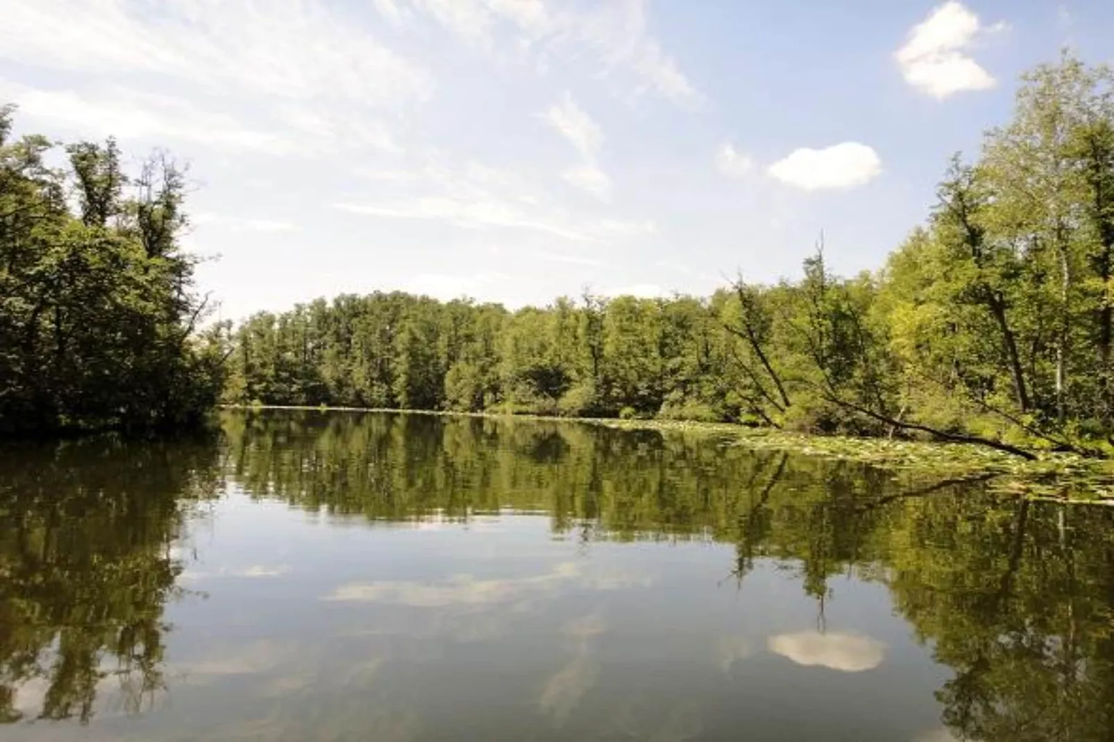 FH Seeschwalbe 147-Areas summer 1km