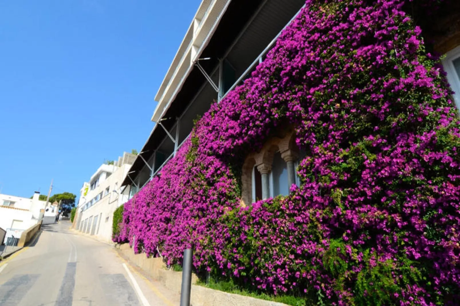 Appartements à L'Estartit-Exterior summer