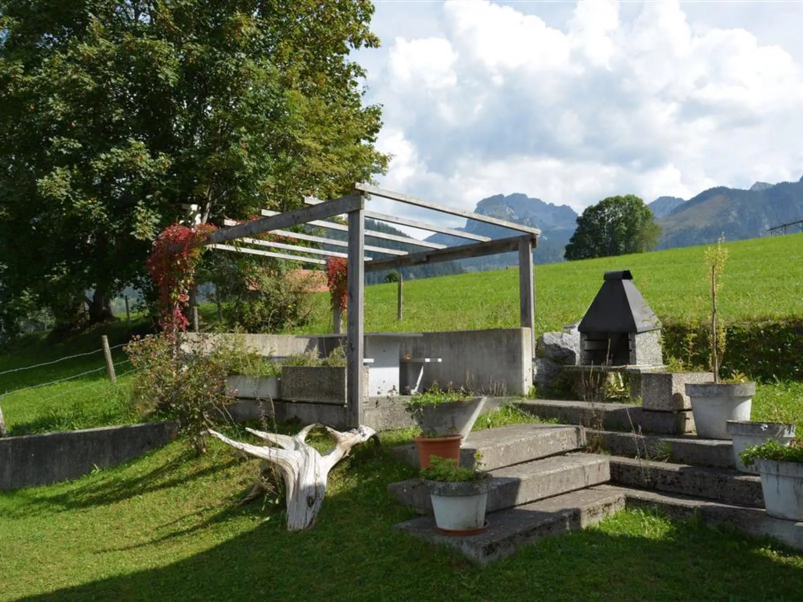 Spillgerten-Blick-Draußen
