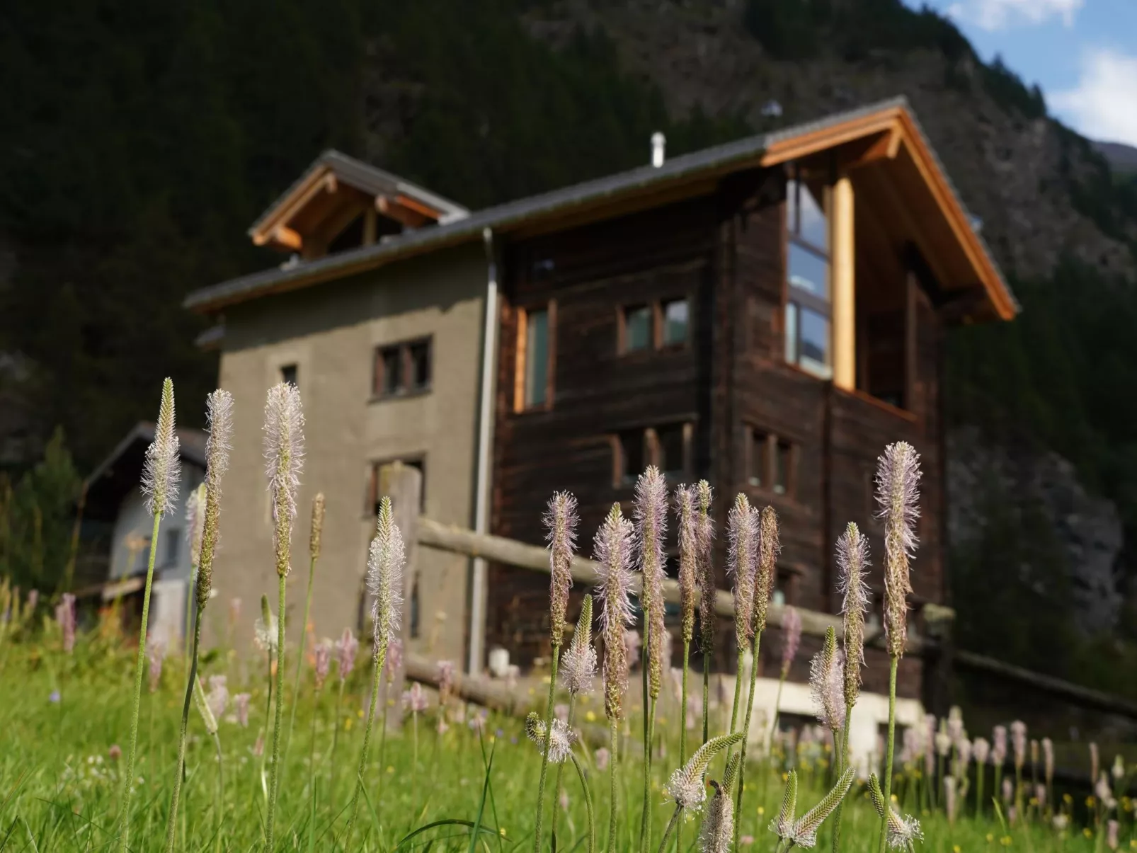 Ferienhaus Capricorn-Outside