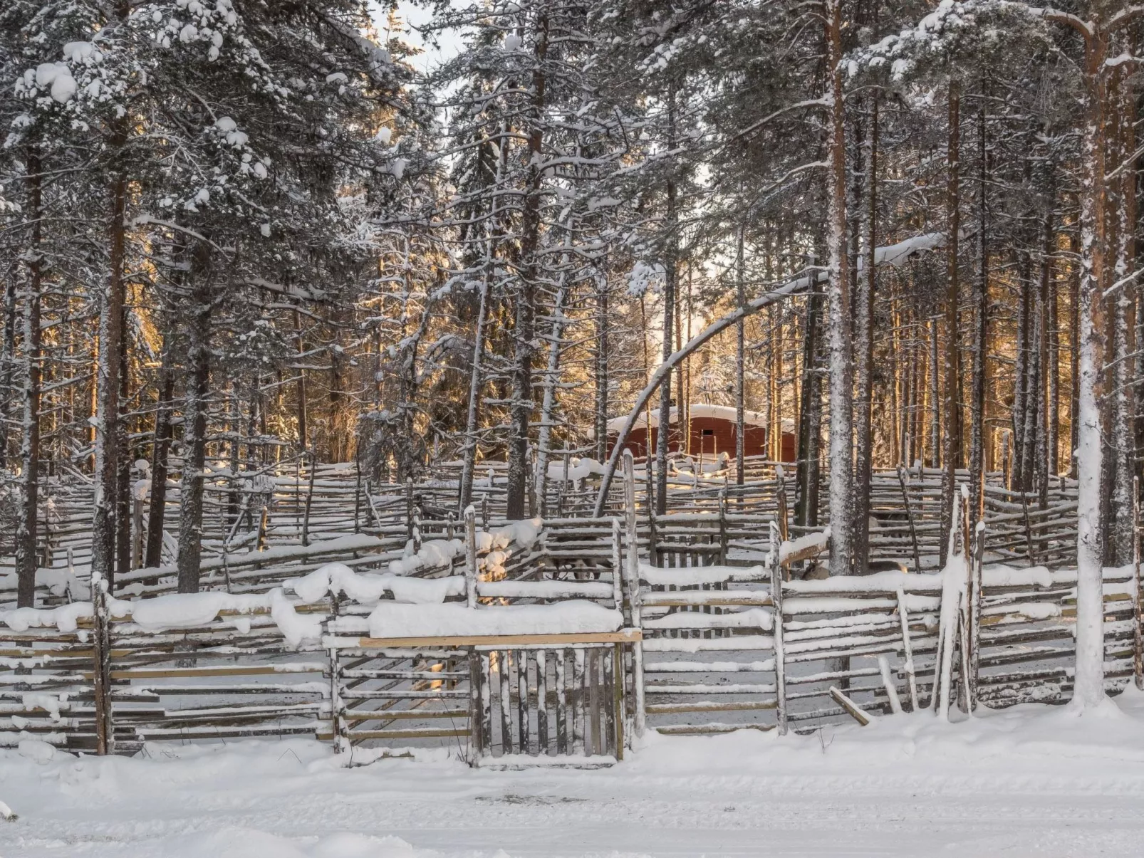 Puljunharju-Outside