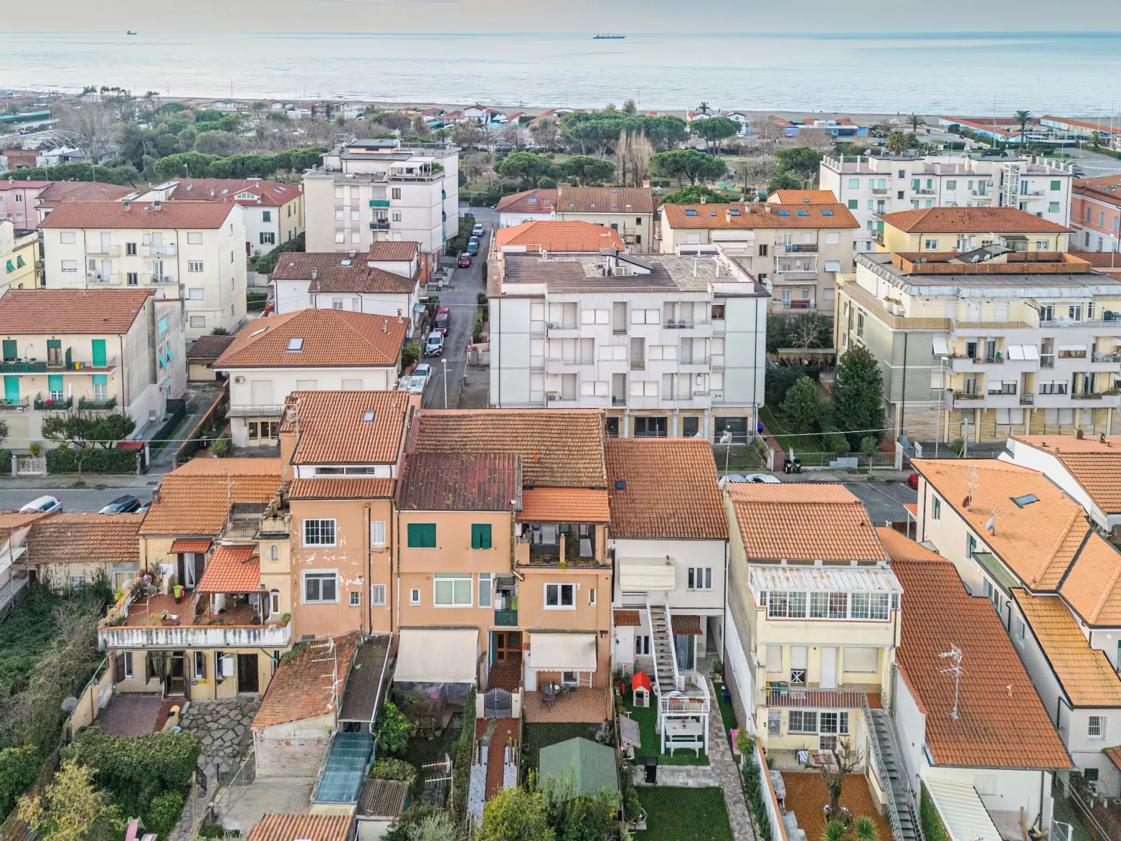 Cristina-Dehors
