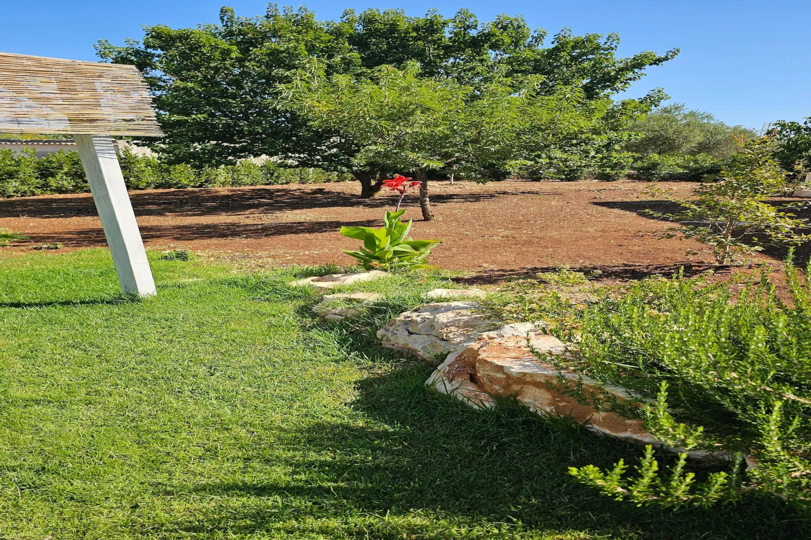 Trullo Milena Fasano-Gärten Sommer