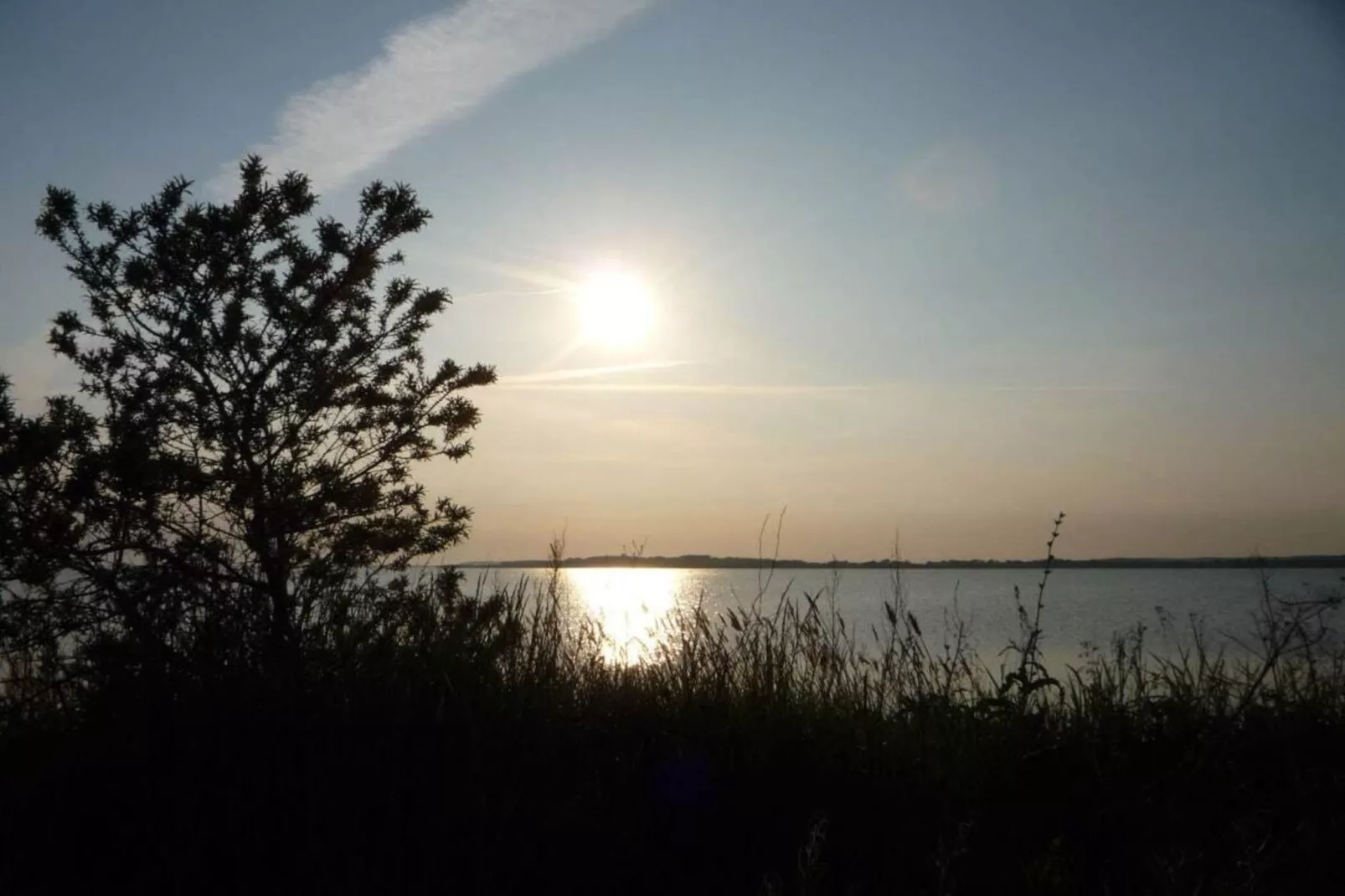 36216-Gebiete Sommer 1 km