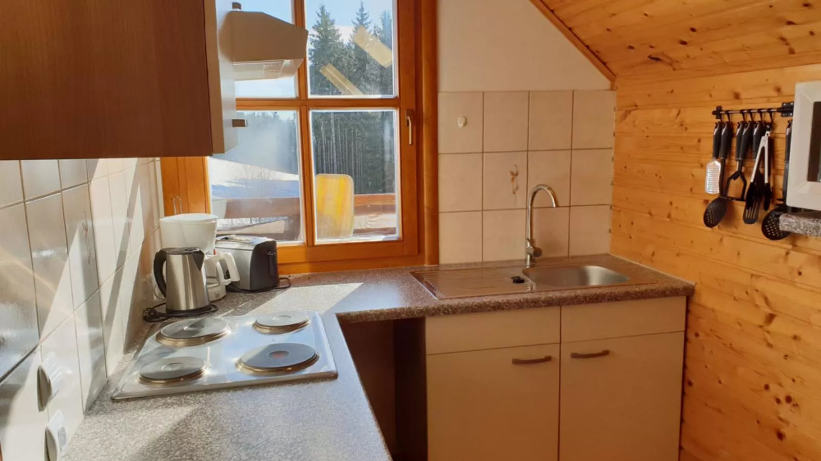 Karawankenpanorama-Kitchen