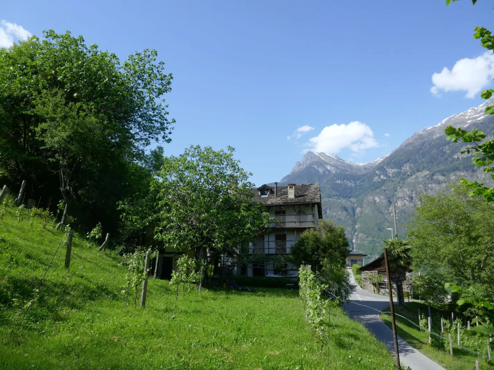 Casa Jolli-Draußen