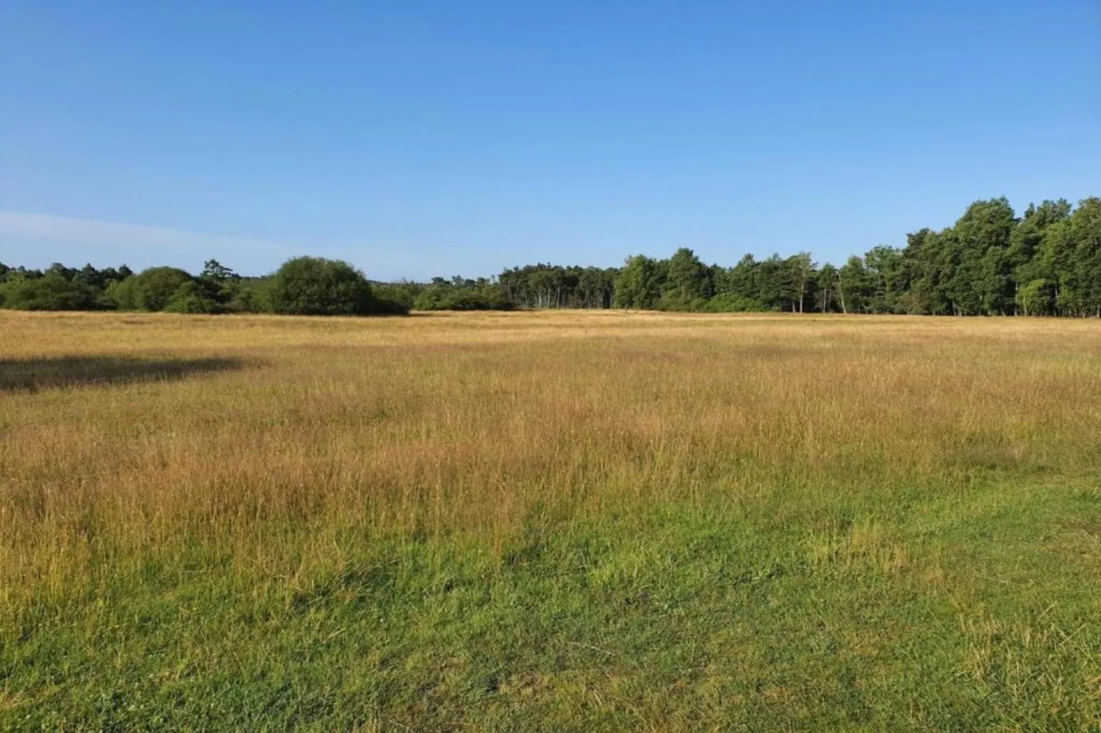 Waldsuite-Areas summer 5km