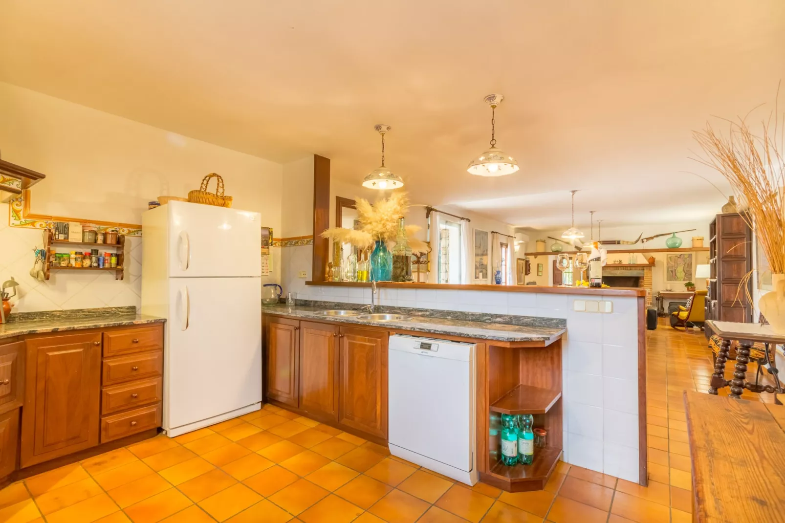 Antonio, Villa 5StarsHome Mallorca-Kitchen
