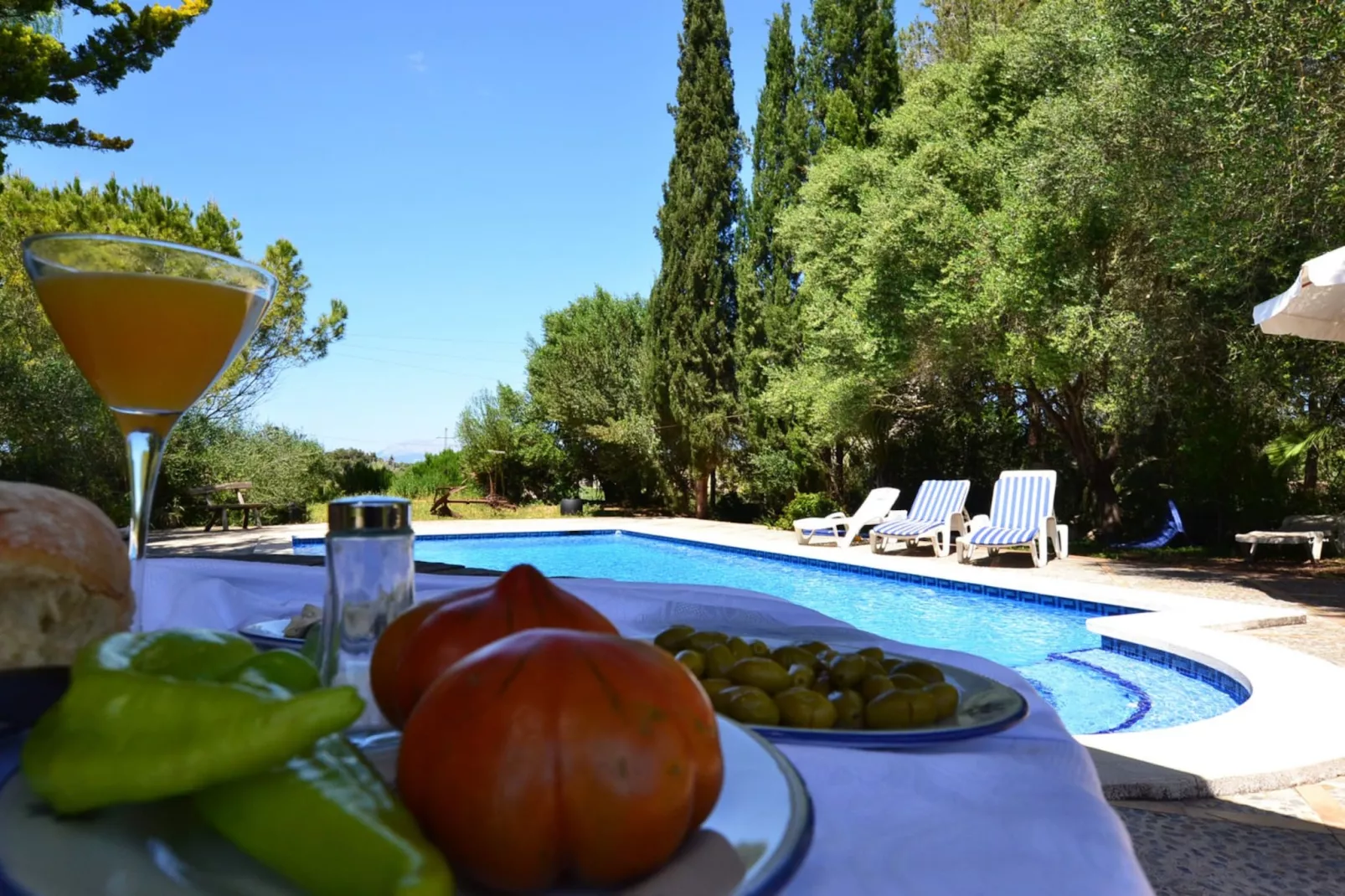 Son Palanca, Finca 5StarsHome Mallorca-Terrace