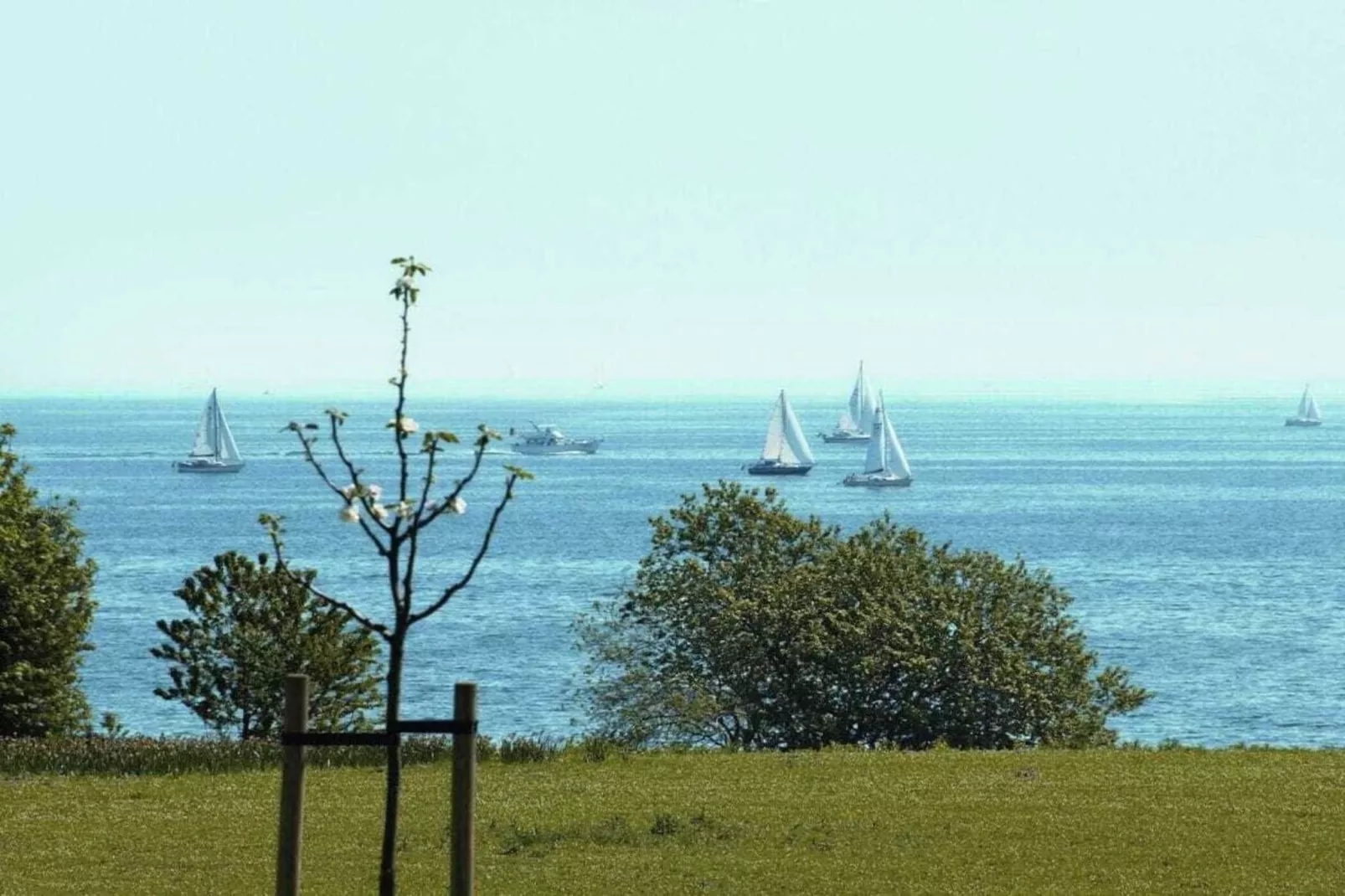 414830-Areas summer 5km