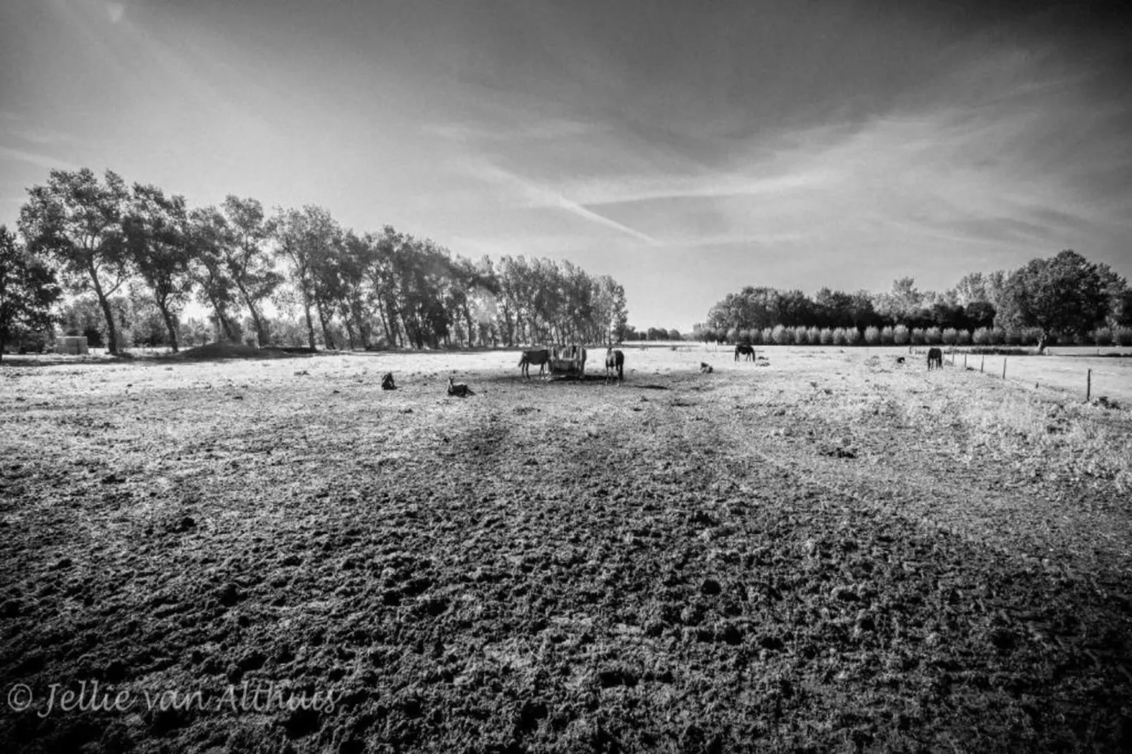 De oude stal-Areas summer 20km