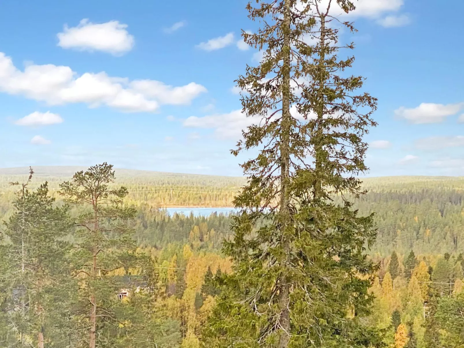 Kesä-iikka 4-Dehors