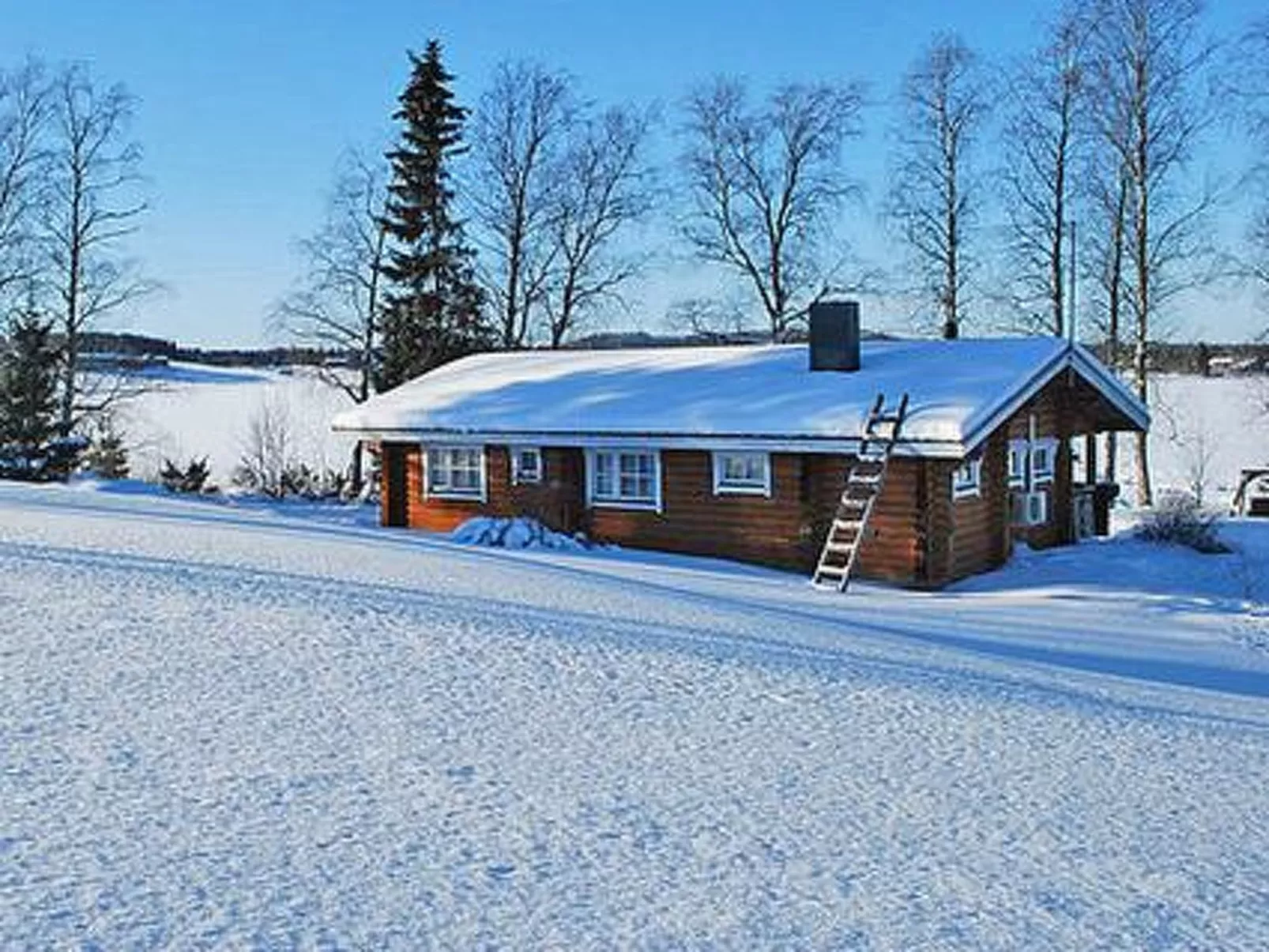 Villiruusu-Outside