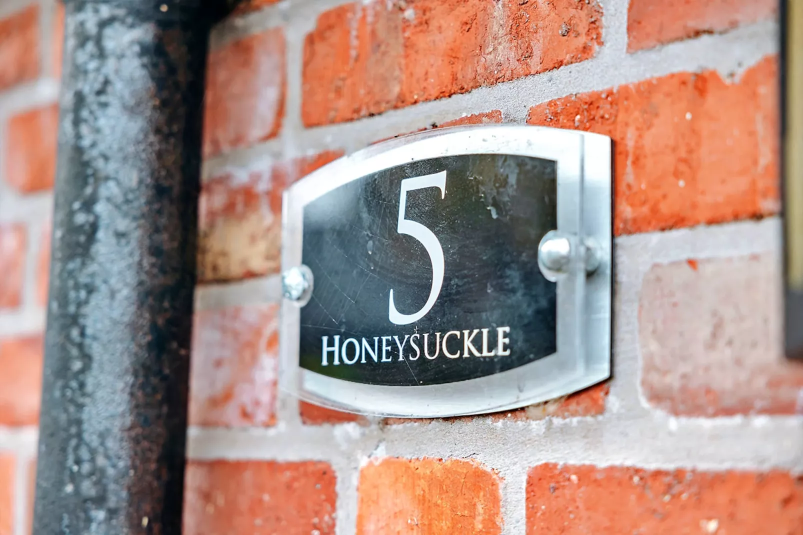 Netley Hall - Honeysuckle-Atmosphere