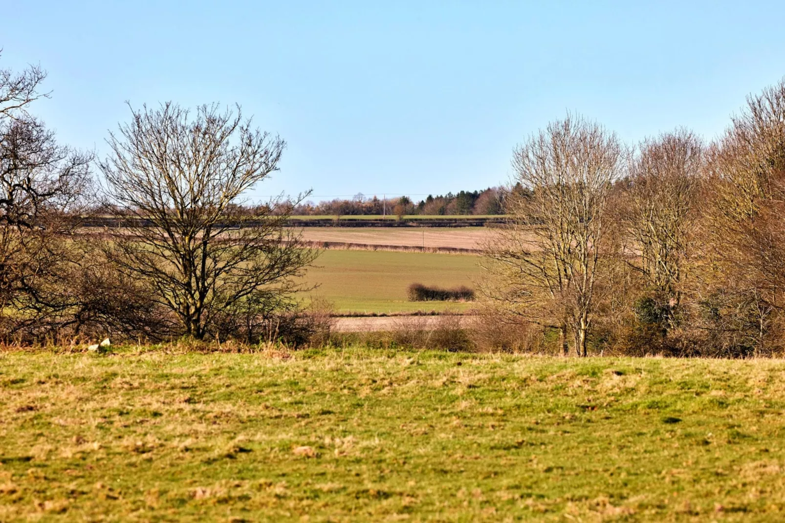 Longwool View-Außenbereich