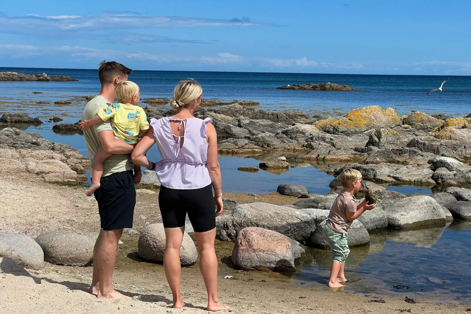 Maison de vacances pour 6 a Allinge-Non étiqueté