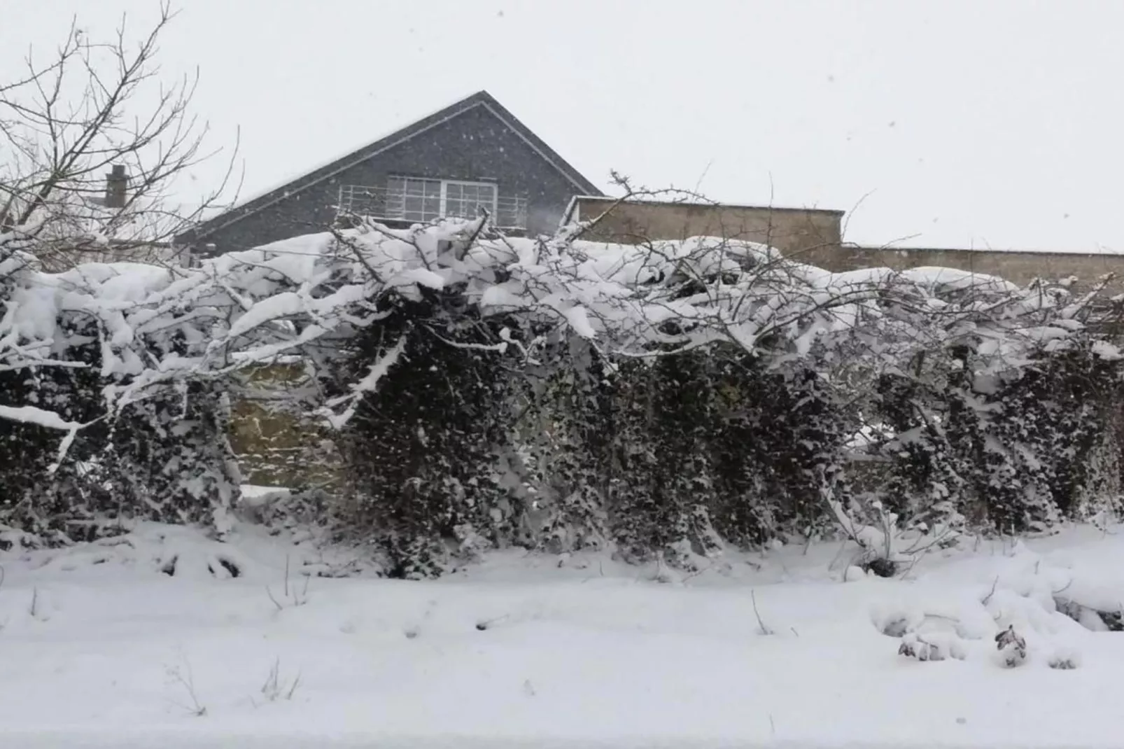Balcon de Malmedy-Area winter 20km