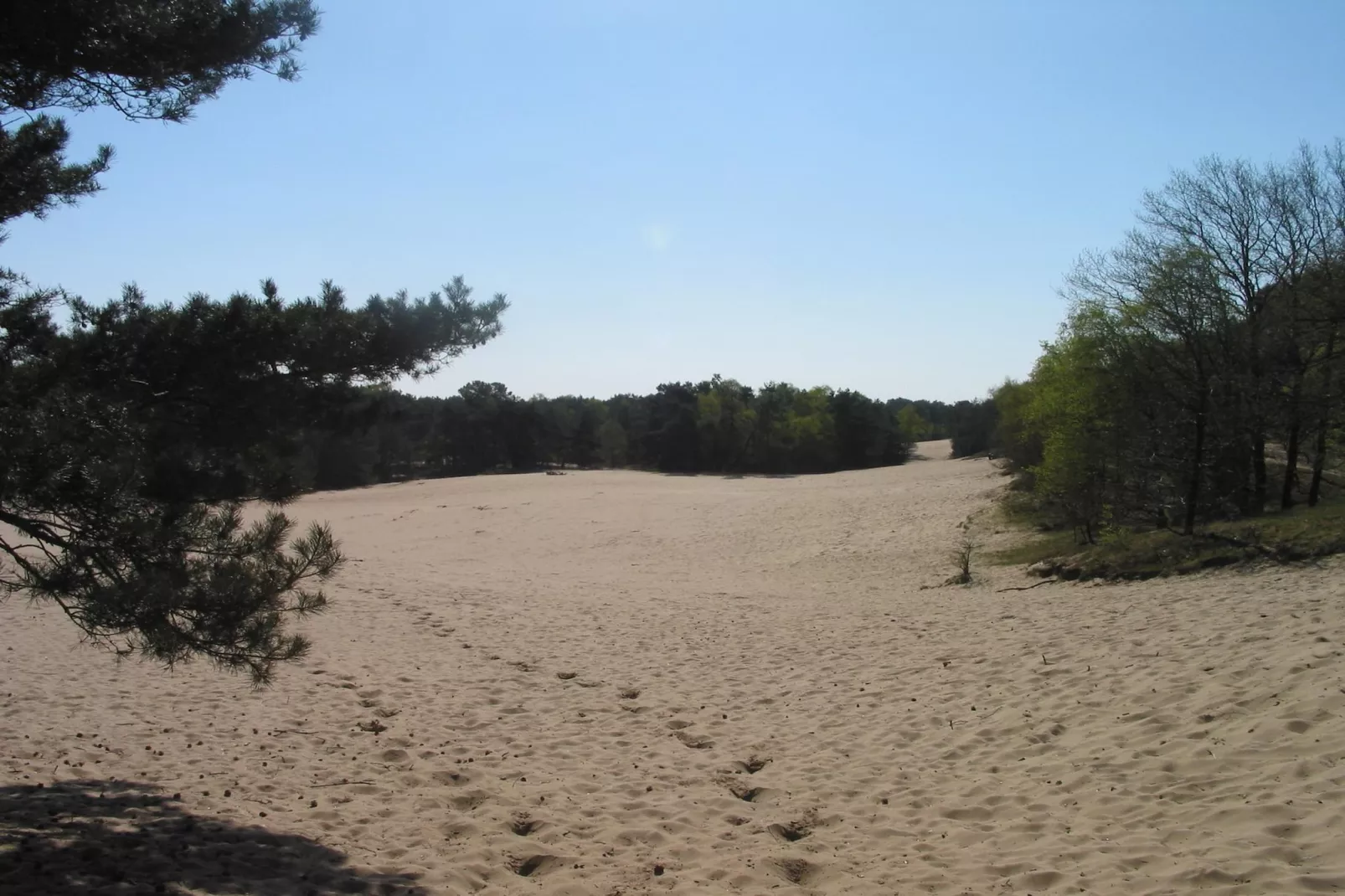 Vakantiepark Herperduin 17-Gebiete Sommer 1 km
