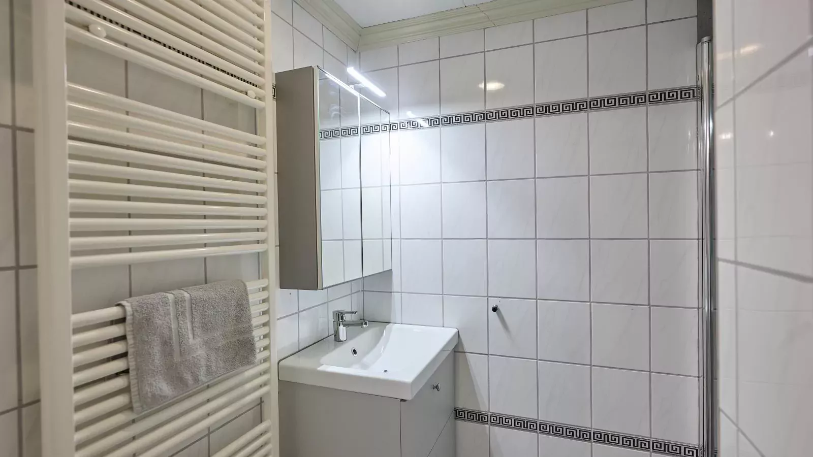 T Kaatsheuveltje 2-Bathroom
