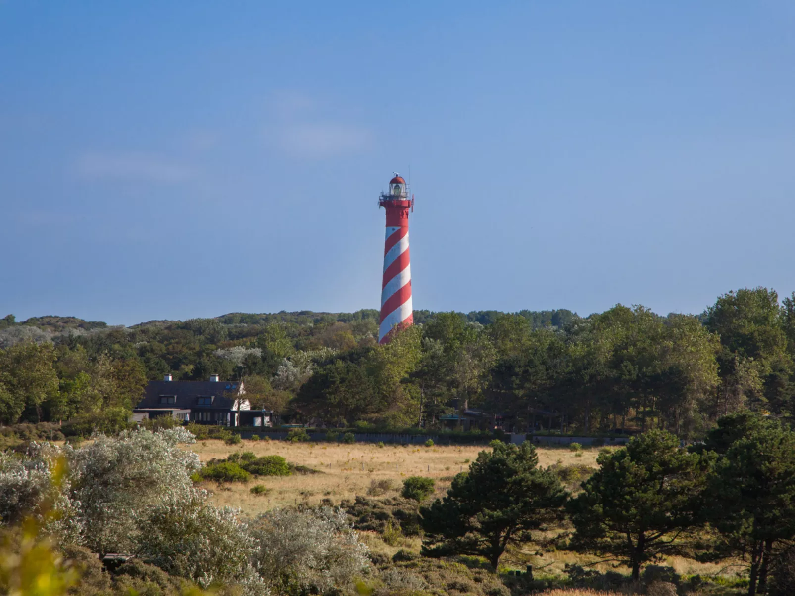 Duinzicht Renesse-Dehors