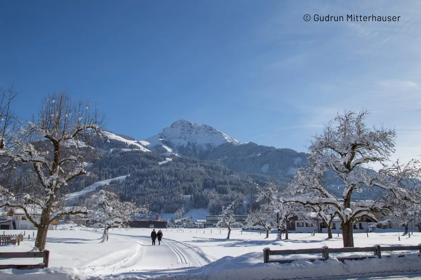 Kitzbühel Suites 3-Area winter 1km
