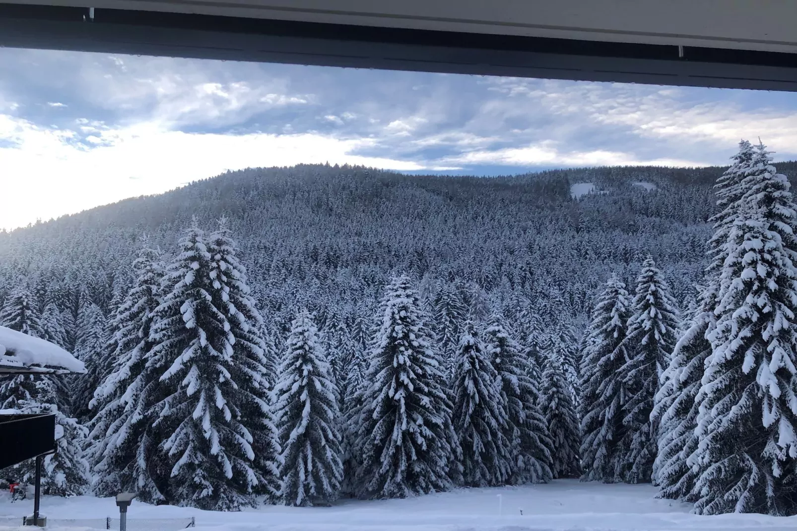 Mountain View-Outdoor