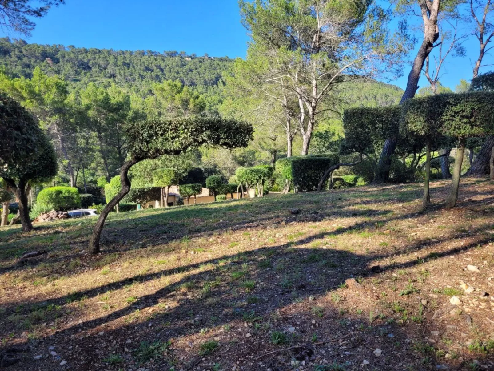 Villa au coeur de la Foret-Outside