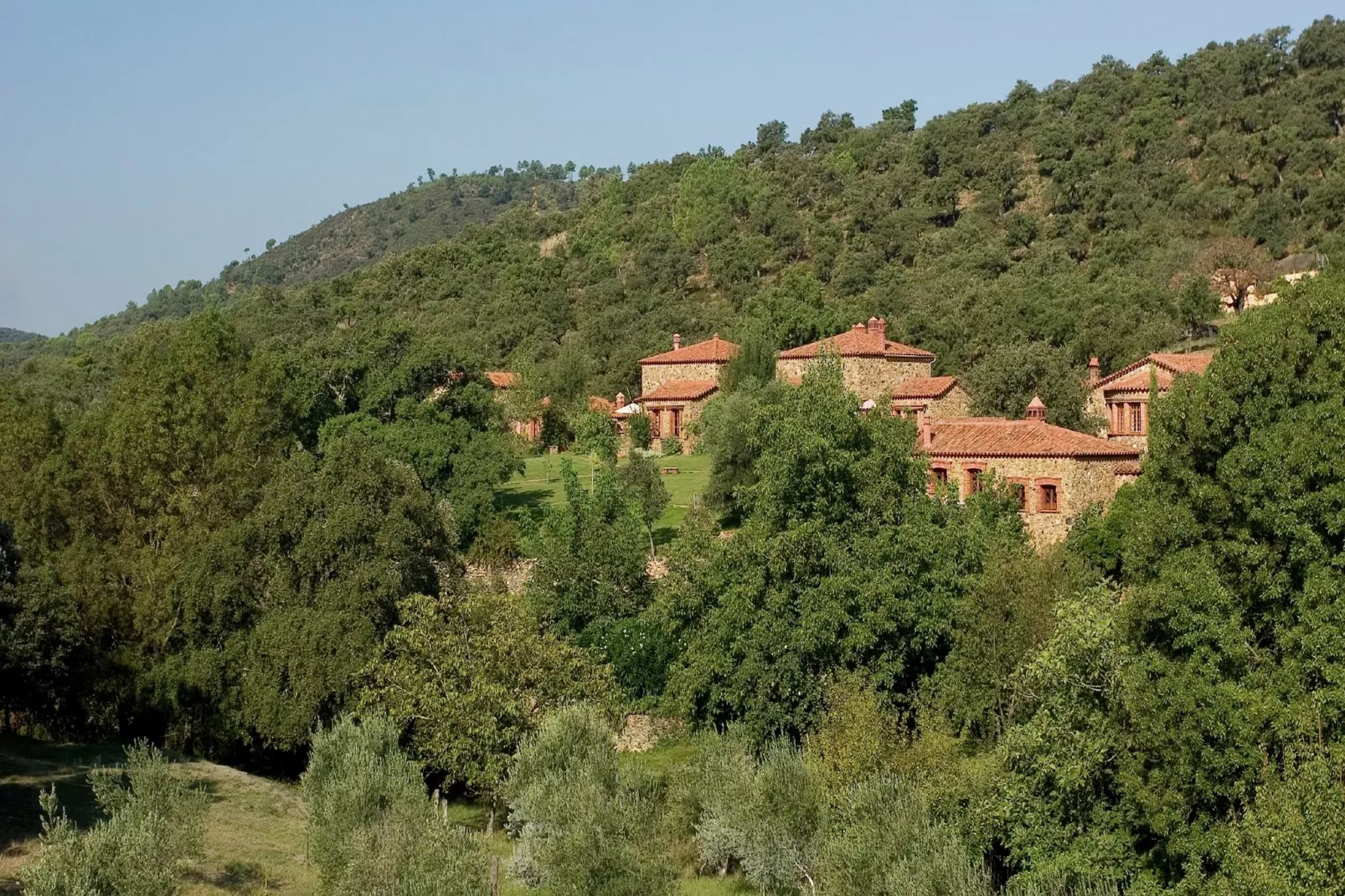 Zoya-Areas summer 1km