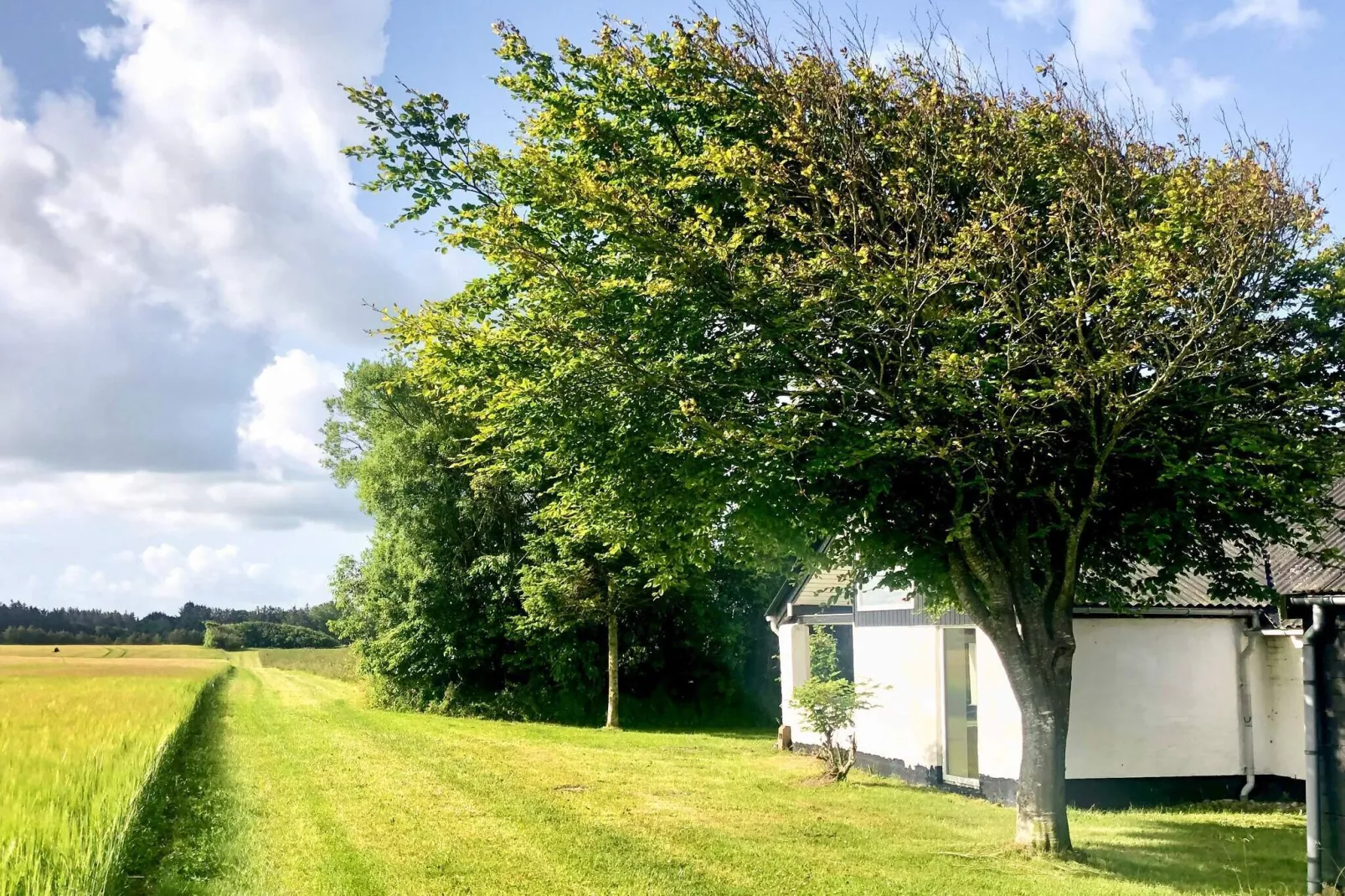 8 person holiday home in Løkken-By Traum-Outdoor