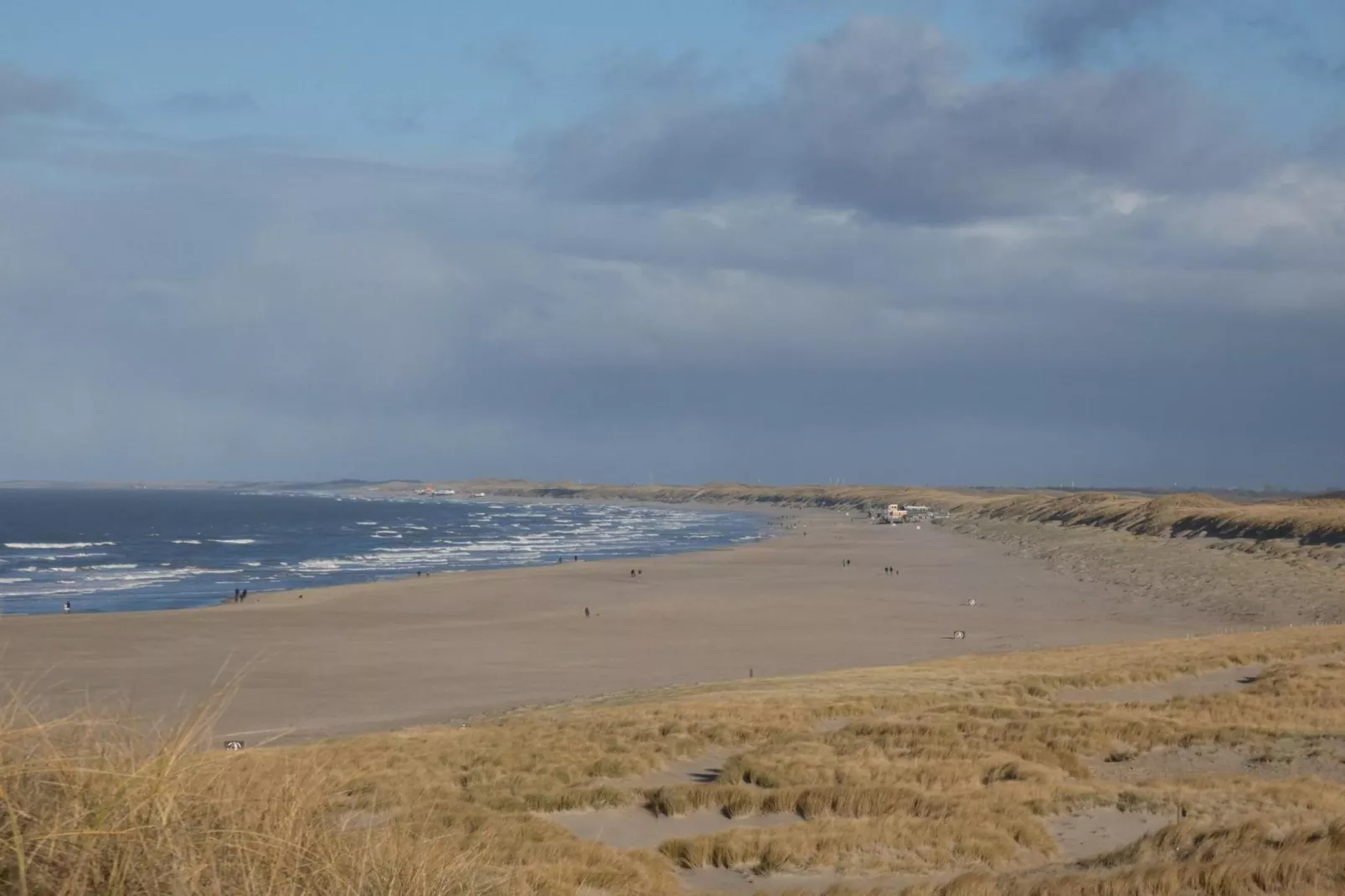 De Schelp 26-Areas summer 5km