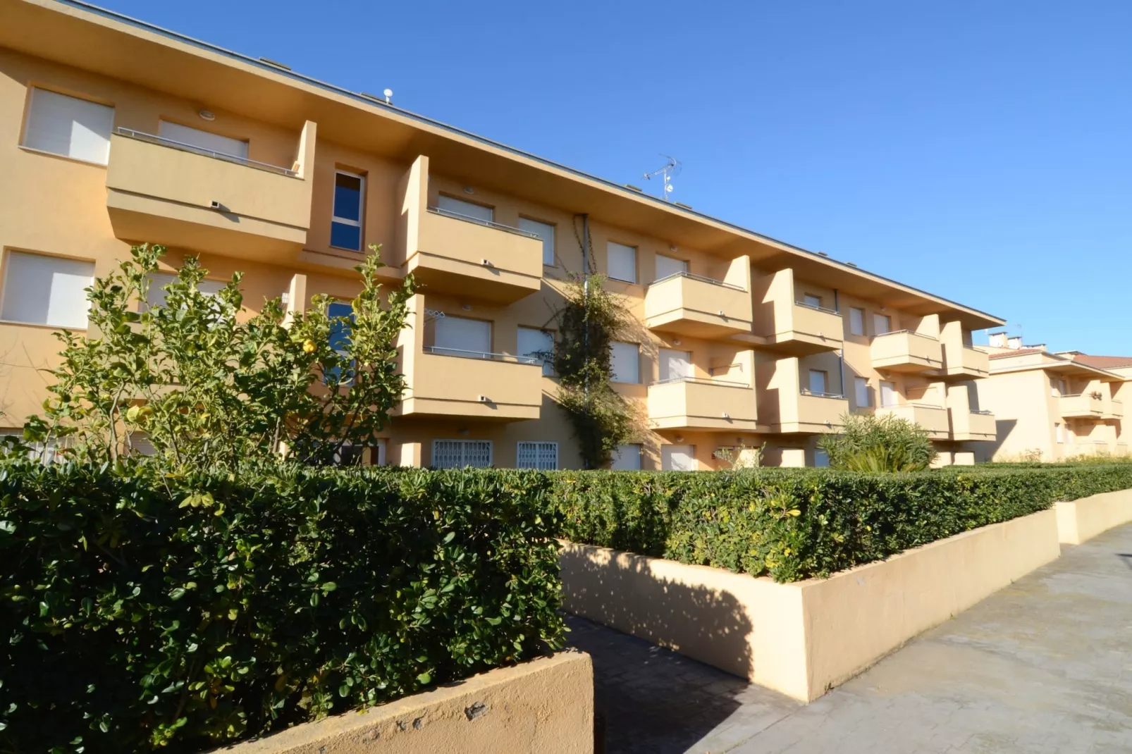 RIELLS BLAU E 202-Outdoor