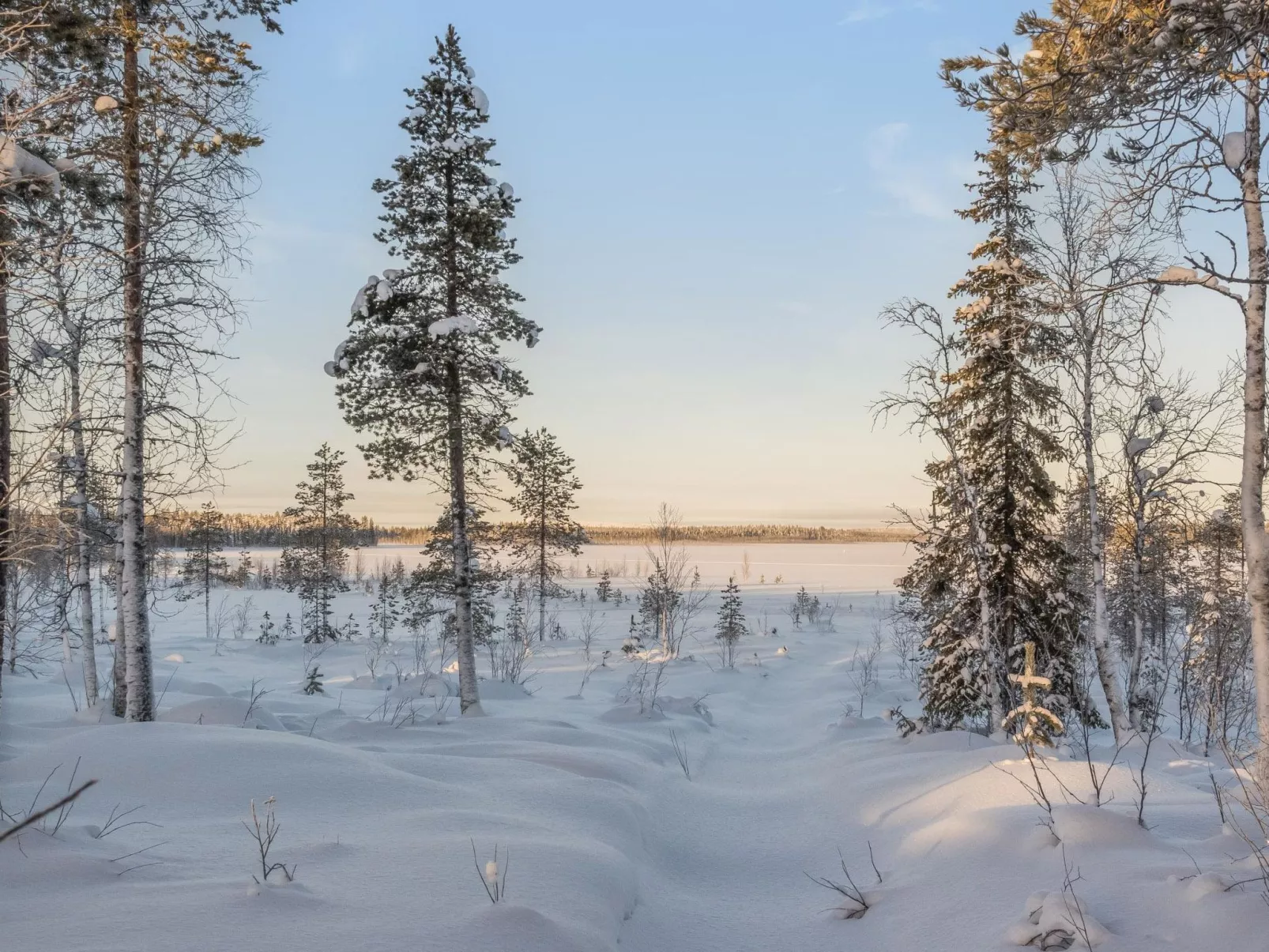 Puljunharju-Outside
