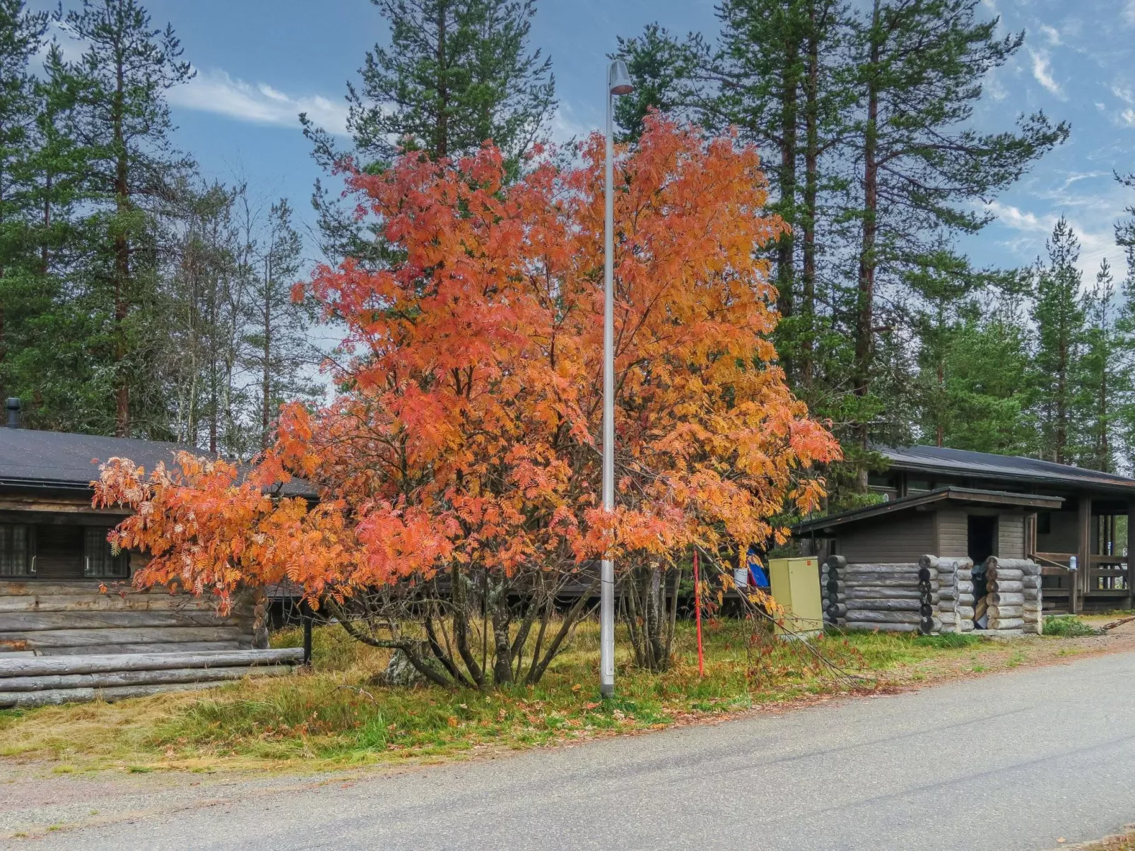 Vuolkuma a-Outside