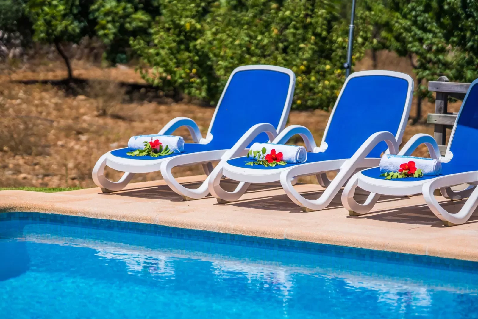 Finca Mamici-Schwimmbad
