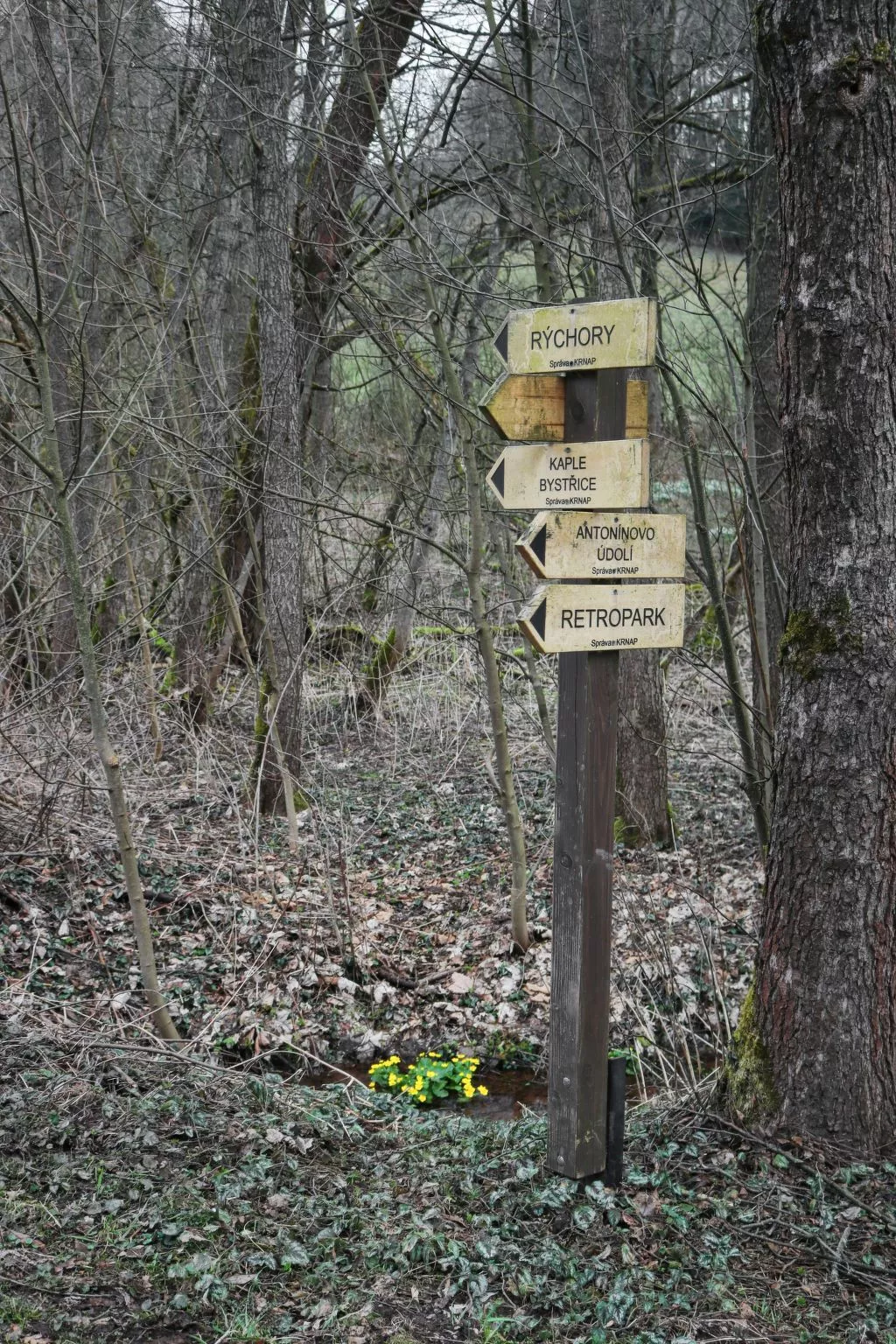 Krakonoš-Outside