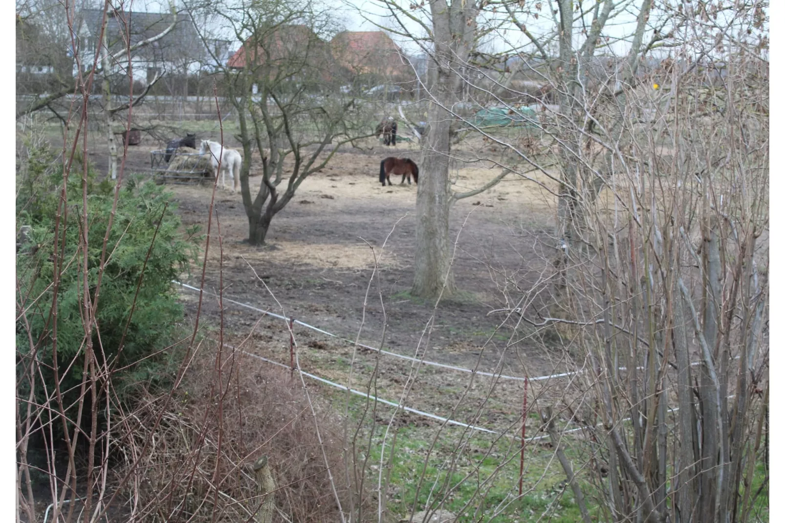 Harderhof 1-Gebiet Winter 1 km