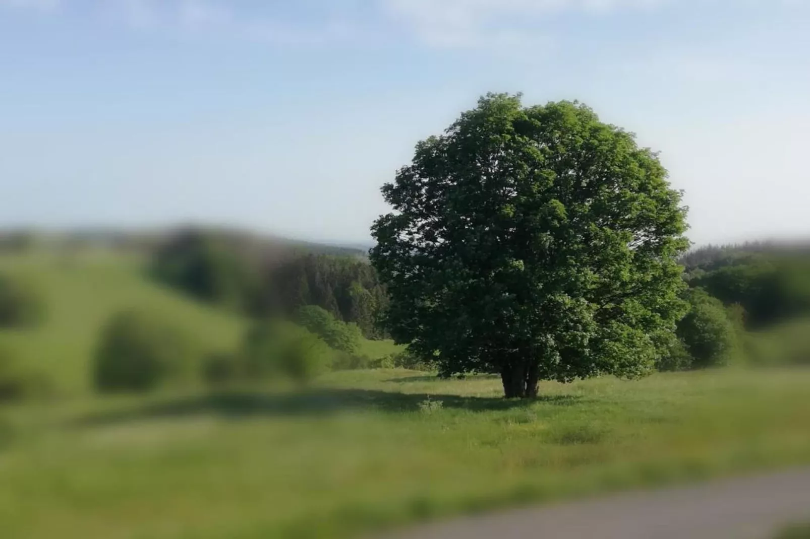 Altes Bootshaus 1-Zones d'été à 20 km